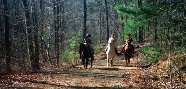 Group of Horse Riders