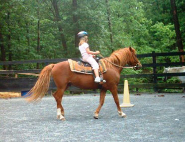 Western Horsemanship